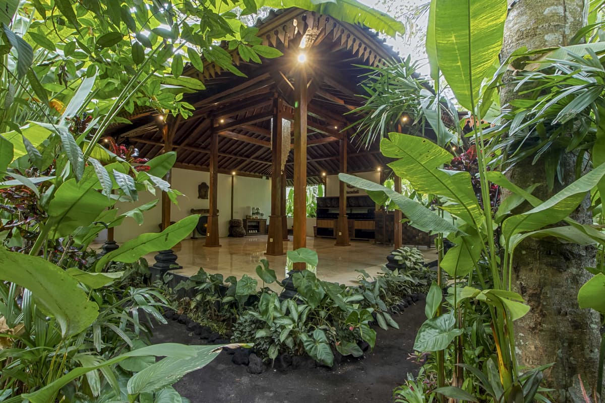 Masakali Yoga Shala Jungle