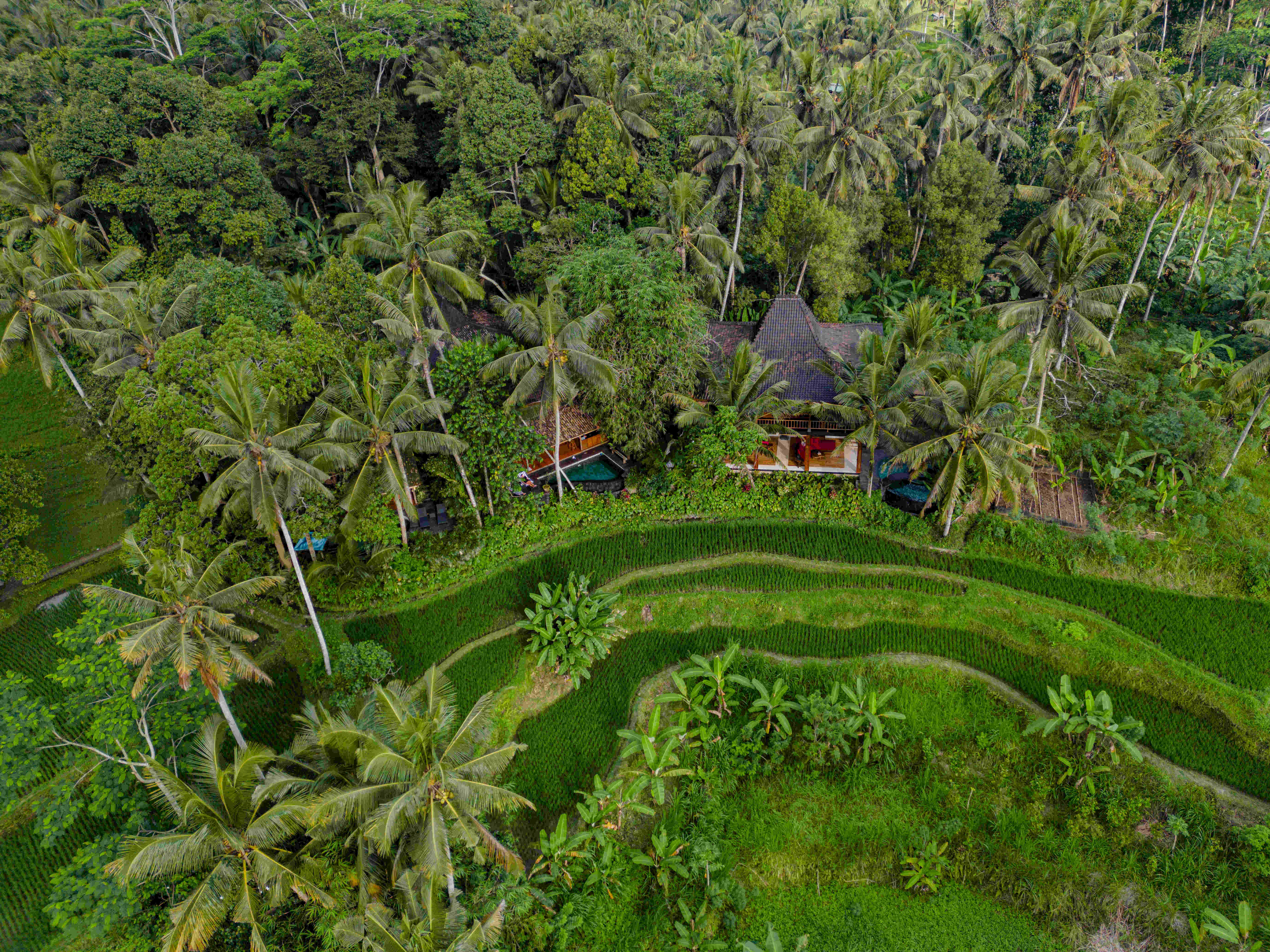 Masakali Aerial View
